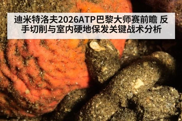 迪米特洛夫2026ATP巴黎大师赛前瞻 反手切削与室内硬地保发关键战术分析